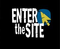 Enter the Website
